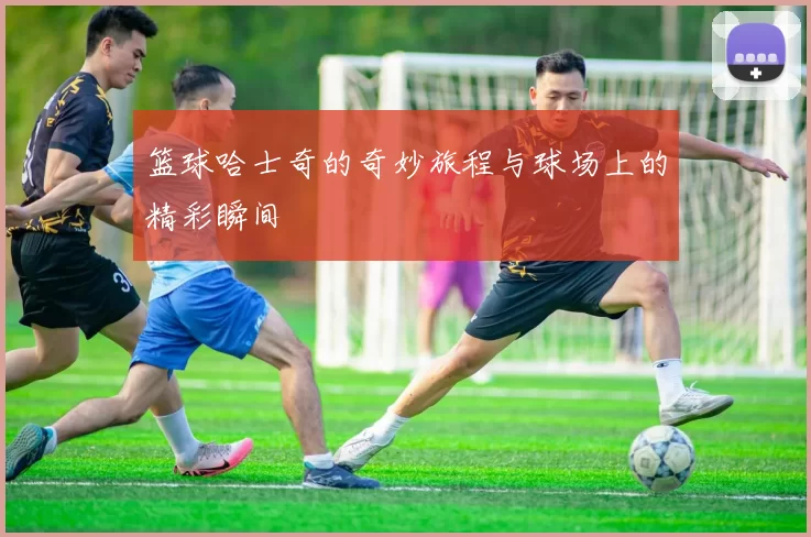 篮球哈士奇的奇妙旅程与球场上的精彩瞬间